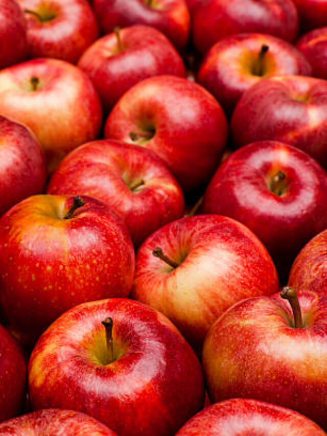 Você Sabe quem Produz Mais Maçã no Brasil e no Mundo?