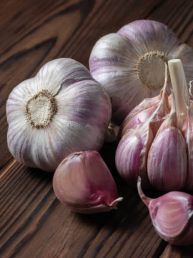 Os Maiores Produtores de Alho do Brasil