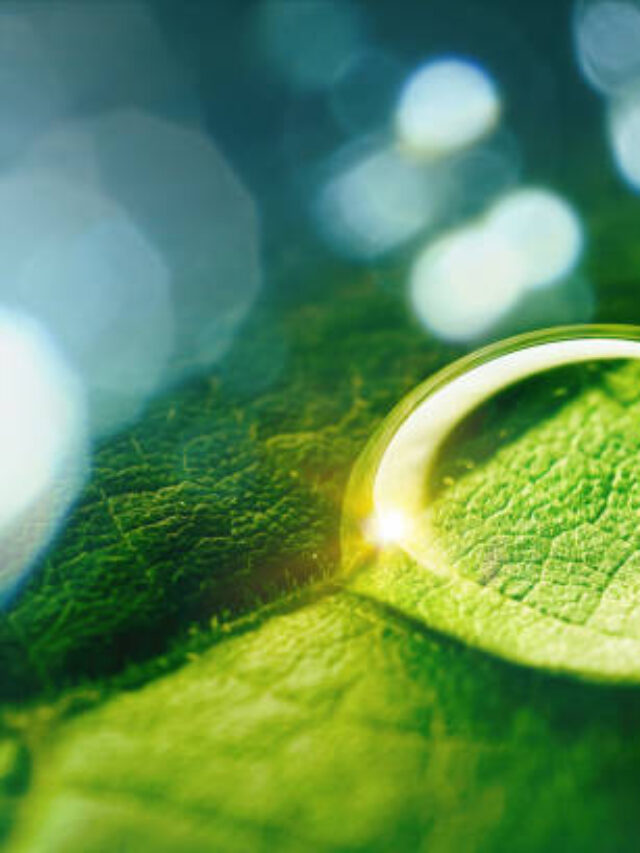 Como a Irrigação Pode Mudar o Agro e Transformar a Produtividade do Setor?