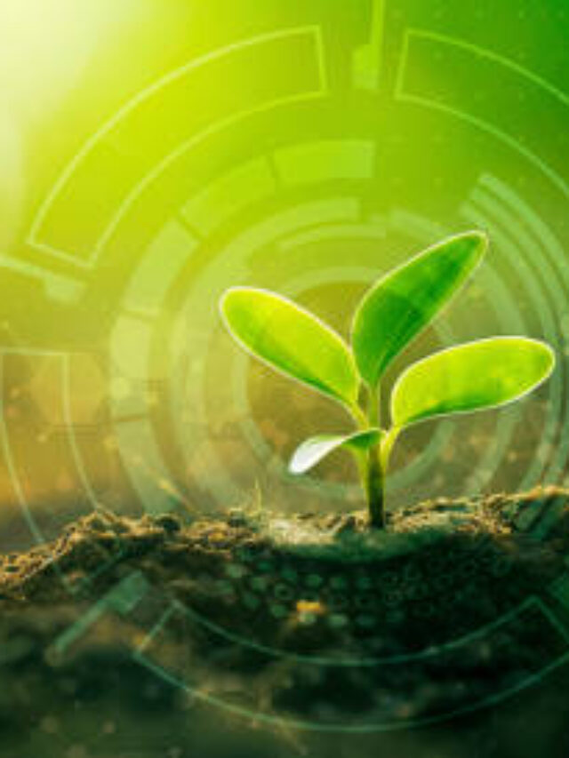 Agronegócio Usa Inteligência Artificial para Controle Preventivo de Pragas.