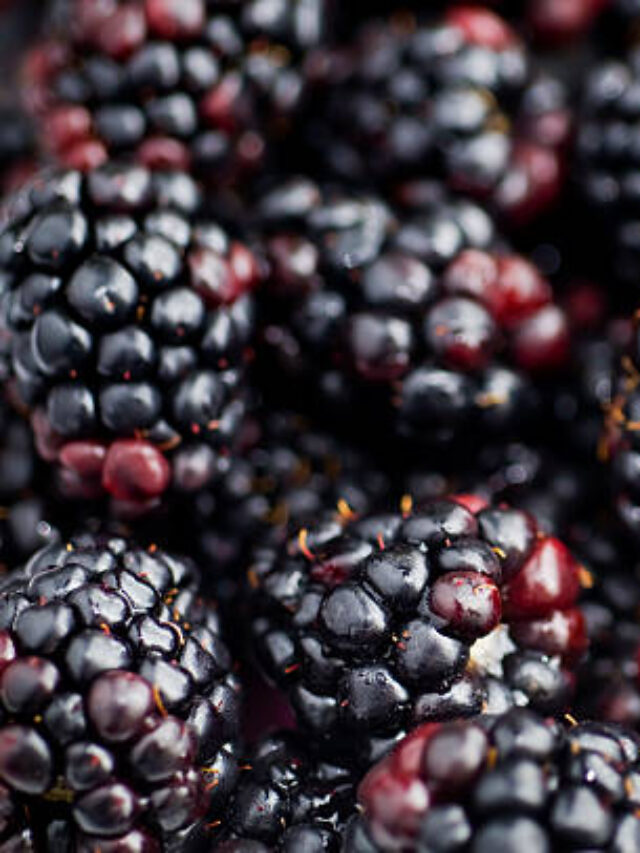 A Nova Rainha das Amoras: Tudo o que Você Precisa Saber Sobre a BRS Karajás