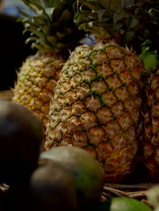 Biotecnologia Reduz Tempo de Produção de Mudas de Abacaxi