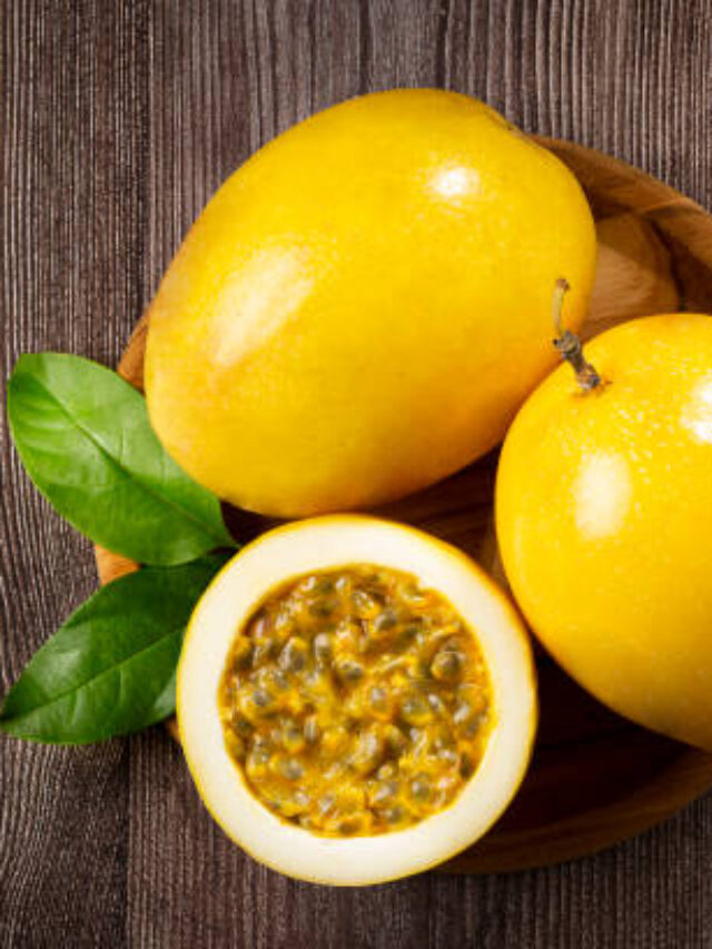 Ranking dos Maiores Produtores de Maracujá do Brasil 2024