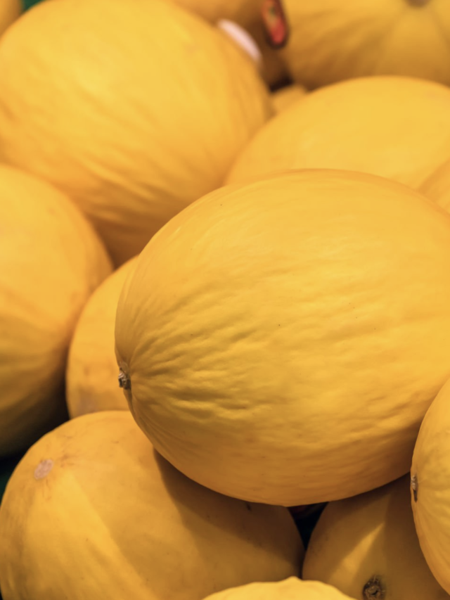 Ranking dos Maiores Produtores de Melão do Brasil 2024