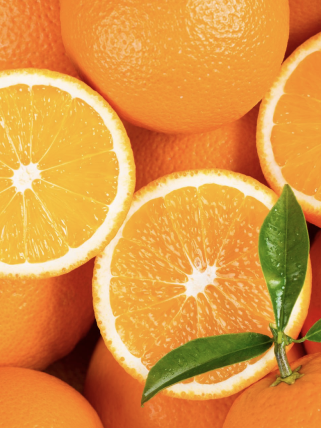 Ranking dos Maiores Produtores de Laranja do Brasil do Brasil 2024