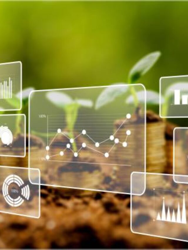 Estimativa de Junho para o VBP Agropecuário 2025: +12,3%.