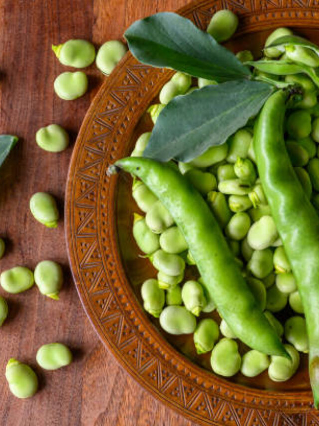 TOP 10 da Agricultura na Paraíba