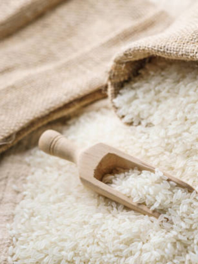 TOP 10 da Agricultura em Roraima