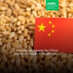 Estagnação do consumo de trigo na China muda a dinâmica de mercado