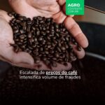 Impressão digital do café ajuda a garantir qualidade e procedência