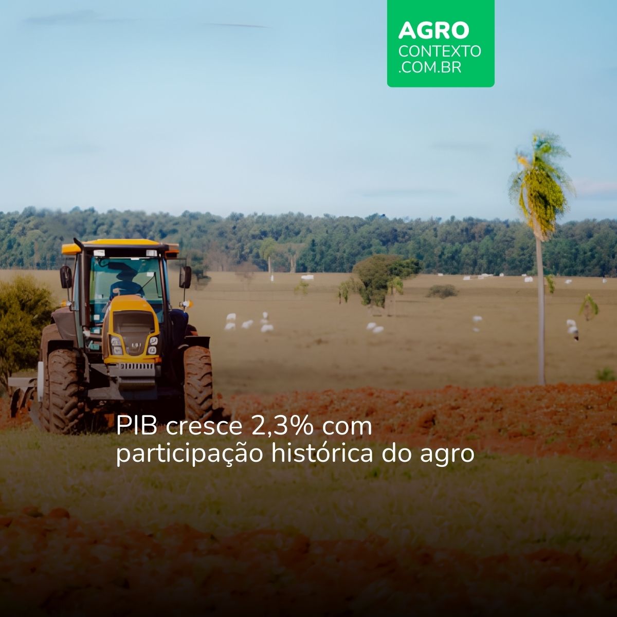 Trator prepara terra para plantio de lavoura em sistema ILPF. Com texto: PIB cresce 2,3% com participação histórica do agro