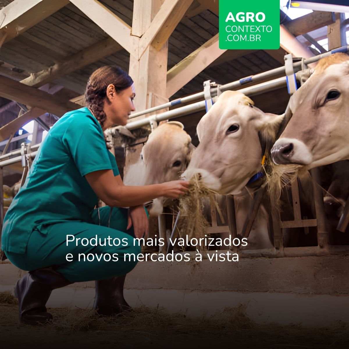 Brasil busca ampliar exportações pecuárias após novo status sanitário Brasil busca ampliar exportações pecuárias após novo status sanitário