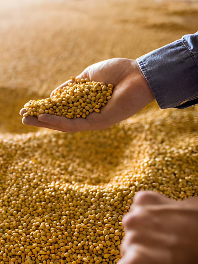 Supersafra de soja e valorização do real expõem fragilidade logística do agro
