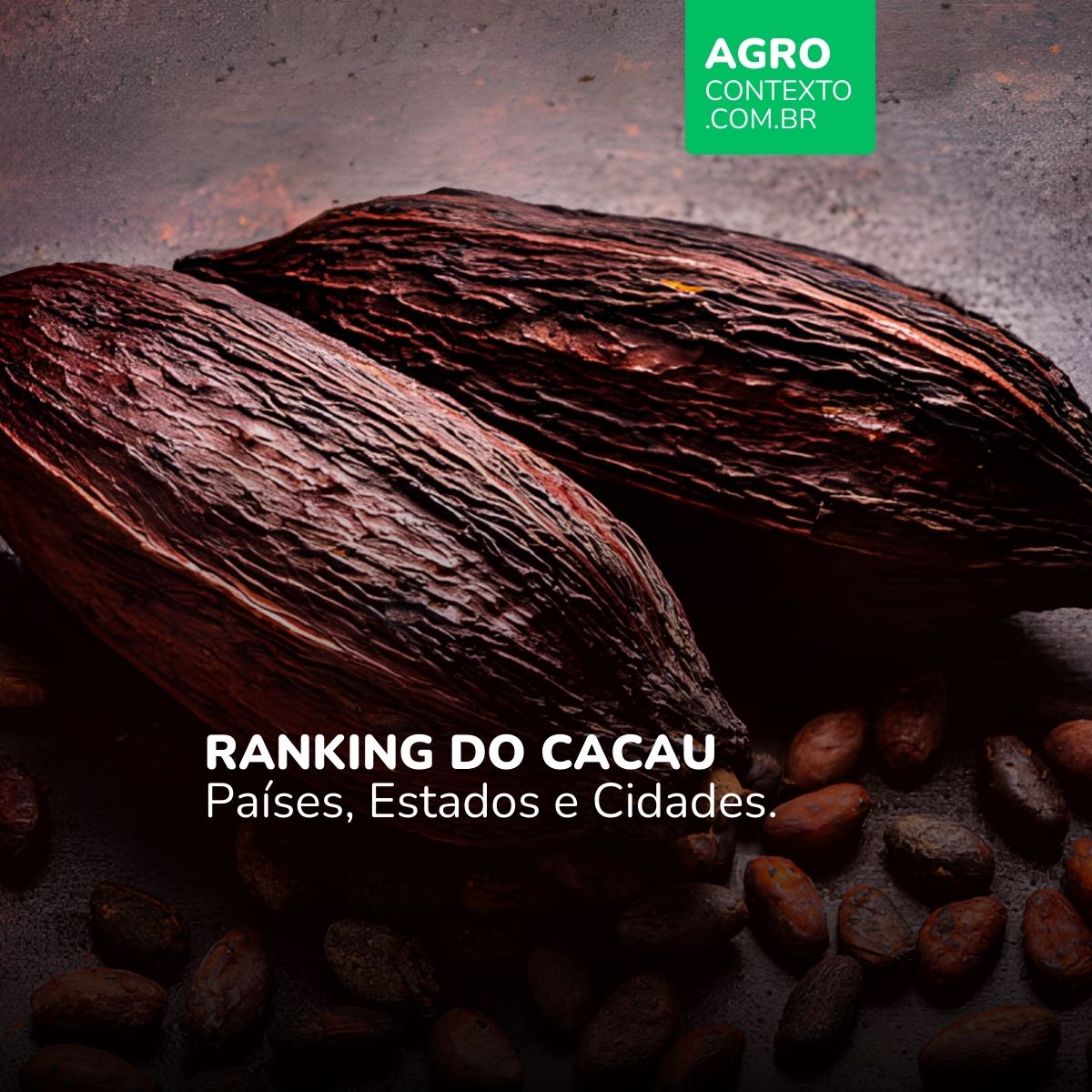 Frutos de cacau secos e amêndoas sobre superfície rústica com título Ranking do Cacau: Países, Estados e Cidades e logo Agro Contexto.