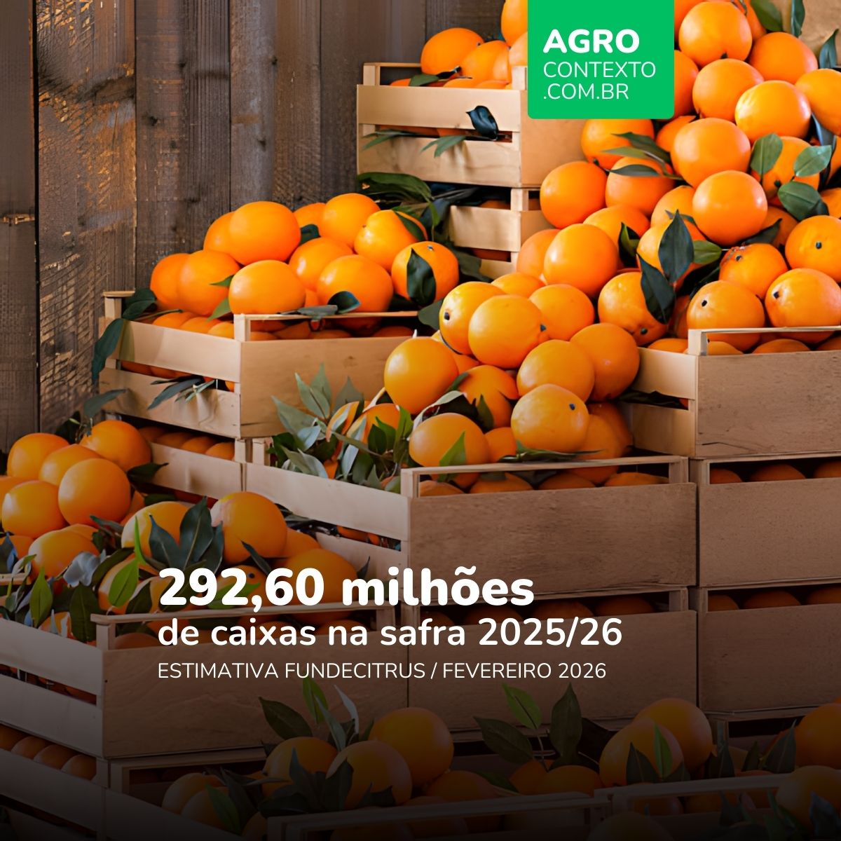 Crates de laranjas empilhadas em ambiente rústico com texto sobre estimativa de 292,60 milhões de caixas na safra 2025/26 da Fundecitrus.